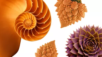 Fractals: Where nature and mathematics meet